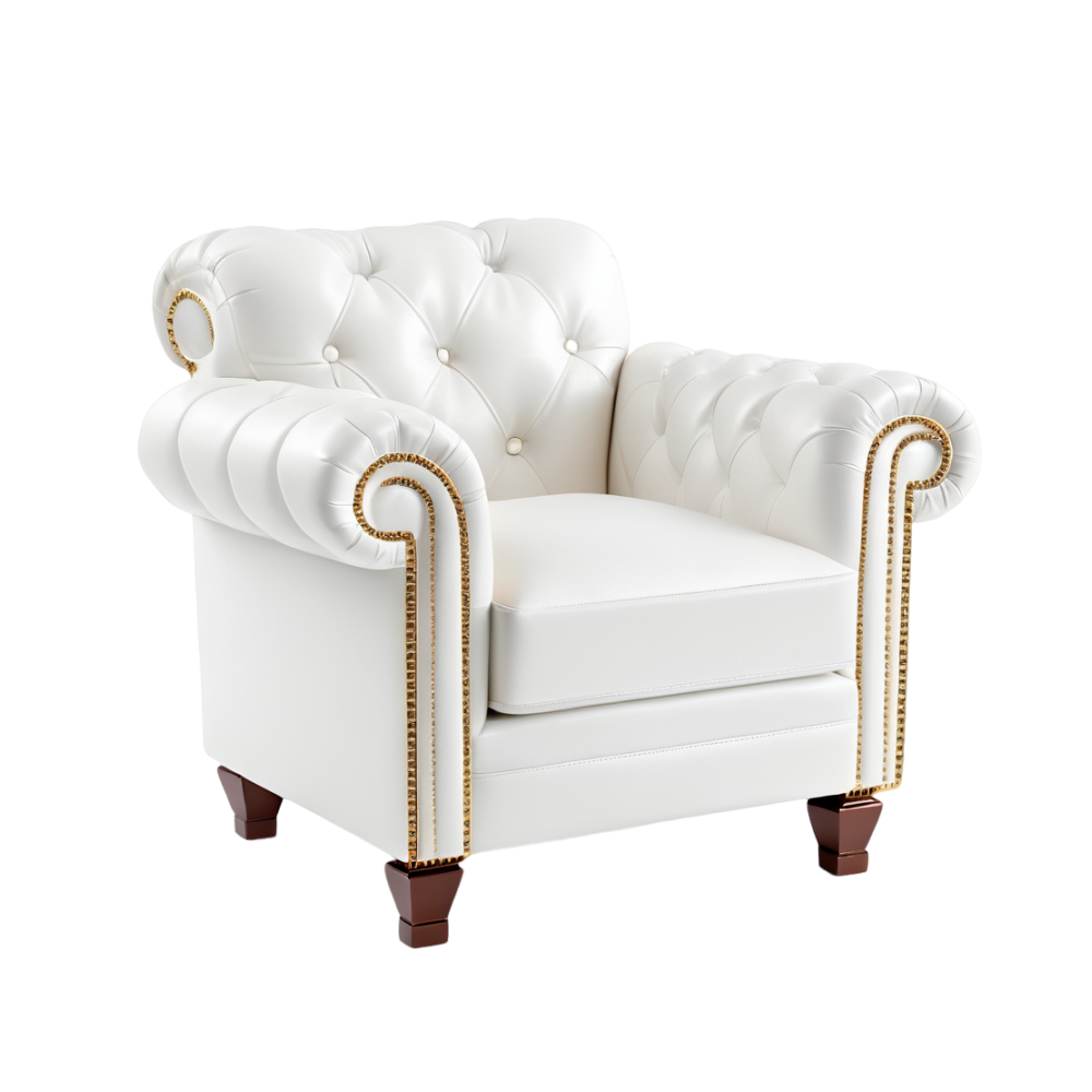 Armchair cleaning service in Fargo