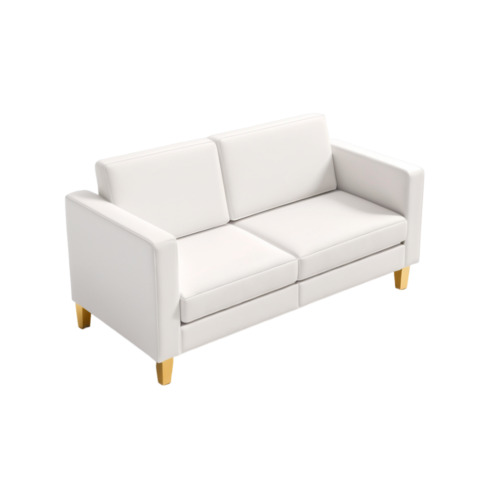 Small Couch cleaning service in Fargo